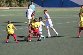 img/1610/20161029/alevin/edm-alevines-0111.jpg