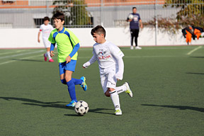 Alevín F