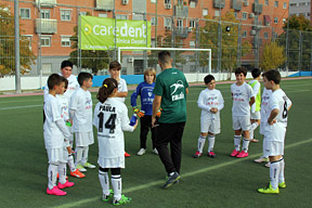Alevín F