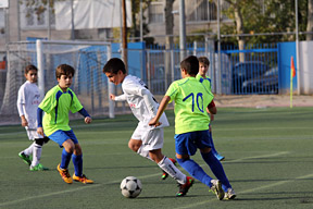 Alevín F