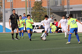 Alevín F