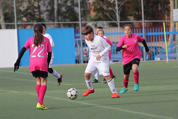 Alevín F