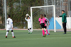 Alevín F