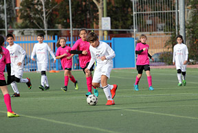 Alevín F