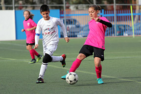 Alevín F