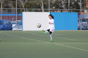 Alevín F