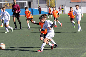 Benjamines