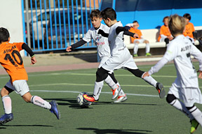 Prebenjamines