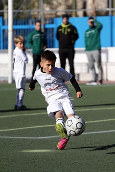Prebenjamines