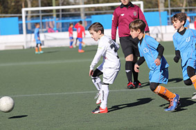 Benjamines