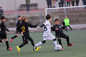 Prebenjamines