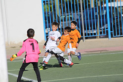 Prebenjamines