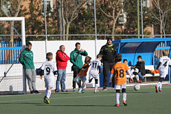 Prebenjamines