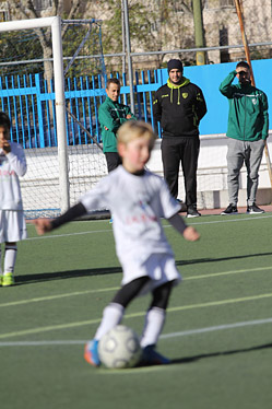 Prebenjamines