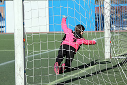 Prebenjamines
