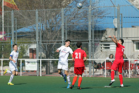 Juvenil D