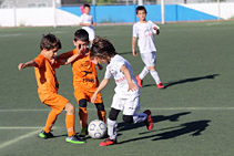 Prebenjamín