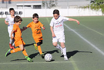 Prebenjamín