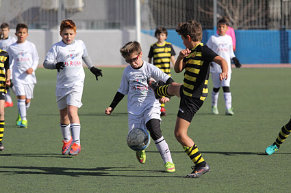 Benjamines