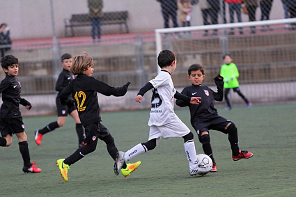 Prebenjamines