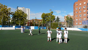 Alevín D