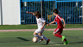 Alevín D