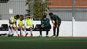 Alevín D