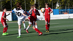 Alevín D