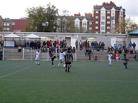 Prebenjamines