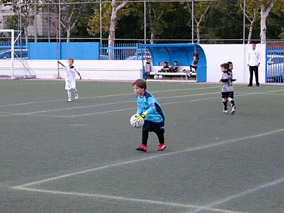 Prebenjamines