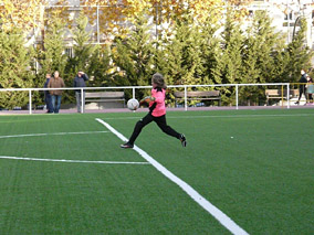 Alevín D