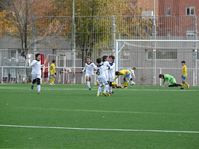 Alevín D