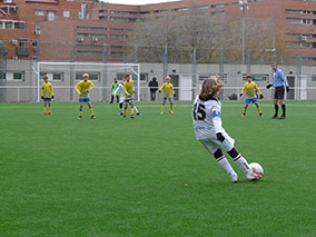 Alevín D