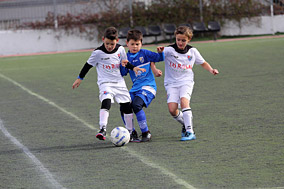 Benjamines
