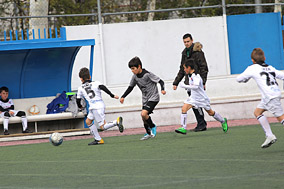 Benjamines