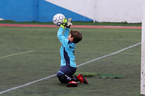 Prebenjamines