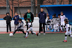 Prebenjamines