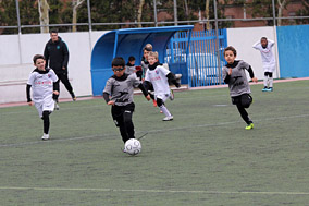 Prebenjamines