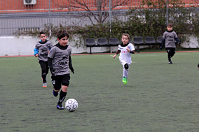 Prebenjamines