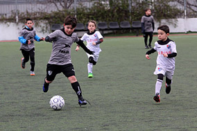 Prebenjamines