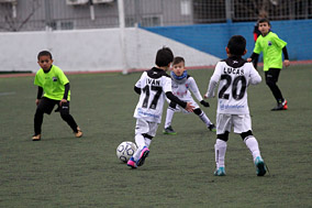 Prebenjamines