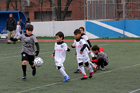 Prebenjamines