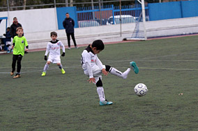 Prebenjamines