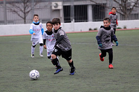 Prebenjamines