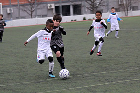 Prebenjamines