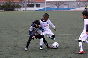 Prebenjamines
