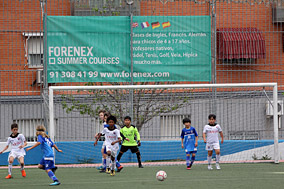 Benjamines