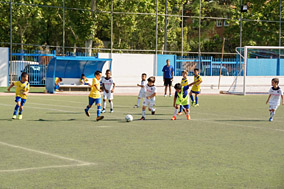 XVII Torneo Pedro Blázquez