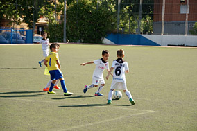 XVII Torneo Pedro Blázquez