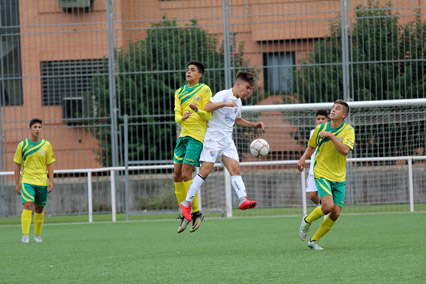 Juvenil B